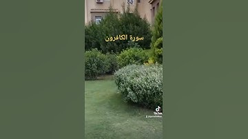 #قل يا أيها الكافرون لا أعبدوا ما تعبدون_سورة الكافرون#  Gamal Belkan
