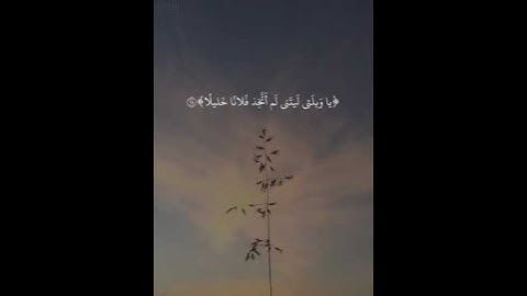 ياوليتى ليتنى لم اتخذ فلاناً خليلا|سورة الفرقان|٢٨-٣٠|تكمله٤|القارئ شريف مصطفى