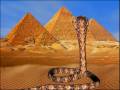 hossam ramzy the cobra´s dance