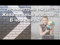 АСИММЕТРИЯ ЛИЦА. ЖЕВАТЕЛЬНЫЕ МЫШЦЫ. В ЧЕМ СВЯЗЬ? ПРЯМОЙ ЭФИР В ИНСТАГРАМ ОТ 06.07.2019.