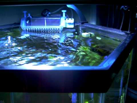 VorTech MP20 - YouTube