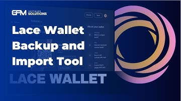 Tool backup và import ví Lace qua Excel | Lace Wallet Excel Export/Import Tool
