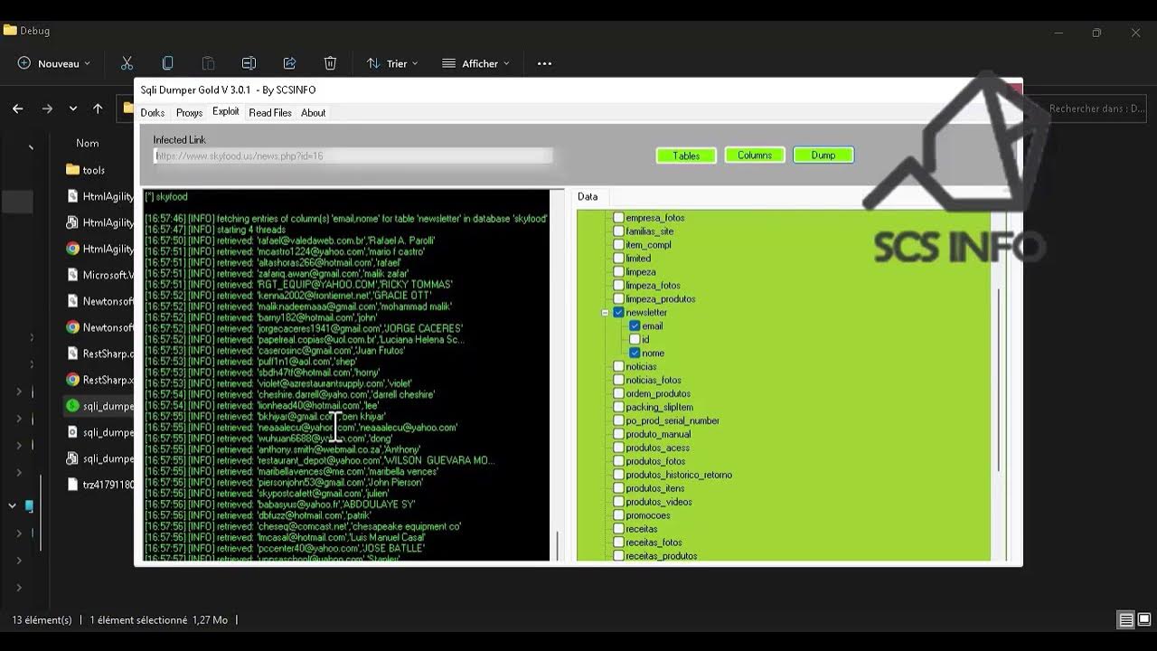 How to sqli dumper gold 3 0 1 detect sqli in your websites youtube