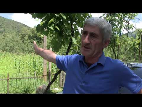 ახალდაბელები სტიქიურ ნაგავსაყრელებზე