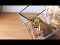 [マムタロト]　小さなジオラマ　モンハンフィギュア インテリア [MHW Kulve Taroth]