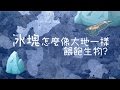 海冰怎麼像大地一樣餵飽生物?【百秒說科學】