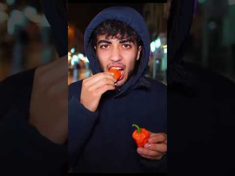 مذاقو ممفهومش