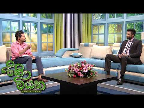 Pini Viyana - (2026-06-25) | ITN
