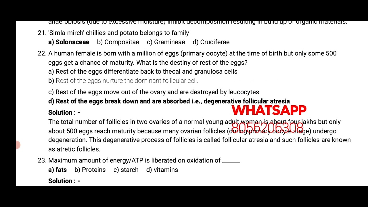 NEET BIOLOGY SLIP TEST ANSWERS YouTube