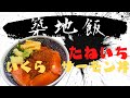 【築地飯】いくら・サーモン丼を食べる動画「たねいち」