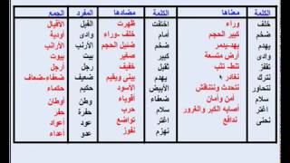 الأرانب والفيل - الصف الثالث الابتدائى الترم الاول