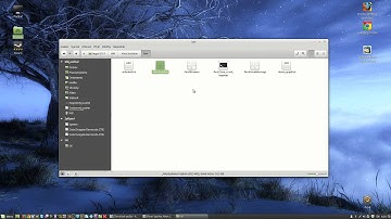 Alien Isolation Wont Start on Linux Mint 17 3 im crazy