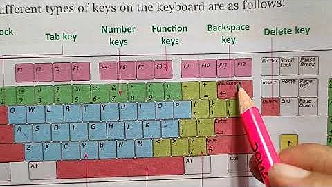 STD 3rd Computer Ch-2 Hardware and Software Part-2