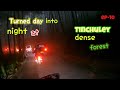 Dense fog and deep forest turned day into night at Tinchuley /@HSoum #forest #jungle #nature #bike