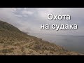 Охота на судака Актау