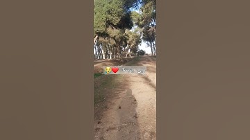 تلاوة رائعة ربي يتقبل منا ان شاء الله