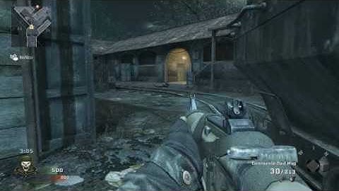 Black Ops Dolphin Dive Win