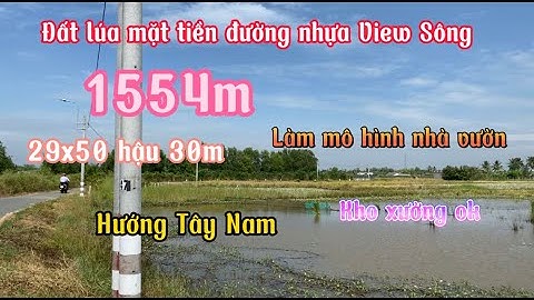 Đất Cần Giuộc Giá Rẻ | 1554m đất lúa mặt tiền đường nhựa View Sông làm mô hình nhà vườn tuyệt vời.