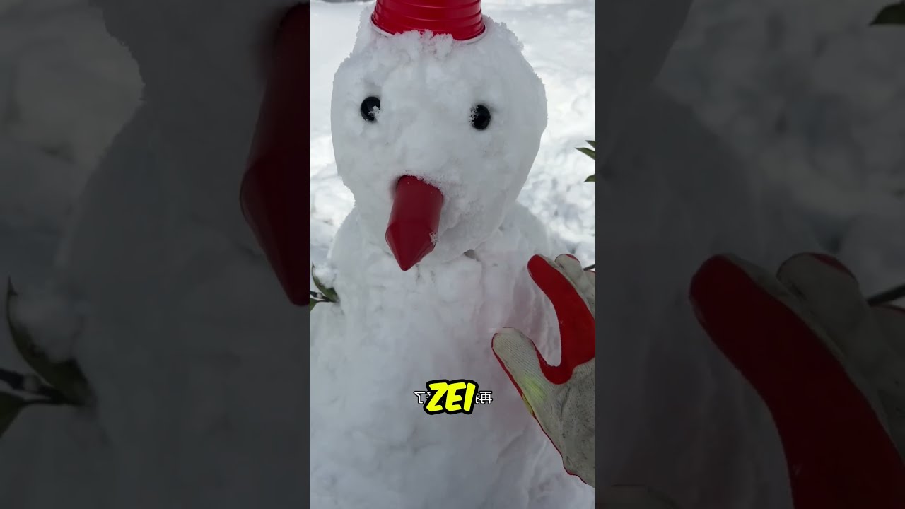 Ze Viel Uit Het Niets De Sneeuwman Aan 