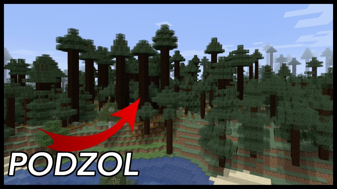 What Is Podzol Used For In Minecraft? - YouTube