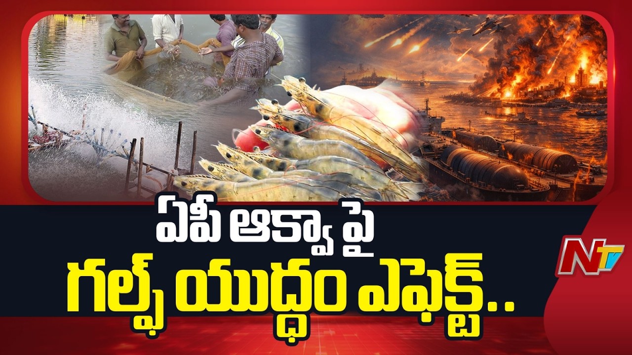 ఇరాన్ యుద్ధం ప్రభావం.. ఏపీ రొయ్య రైతులకు భారీ నష్టం | AP Aqua Sector | NTV Telugu