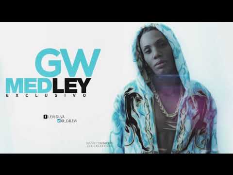 Mc GW - Medley Exclusivo Pro Dj Levi ♫♪
