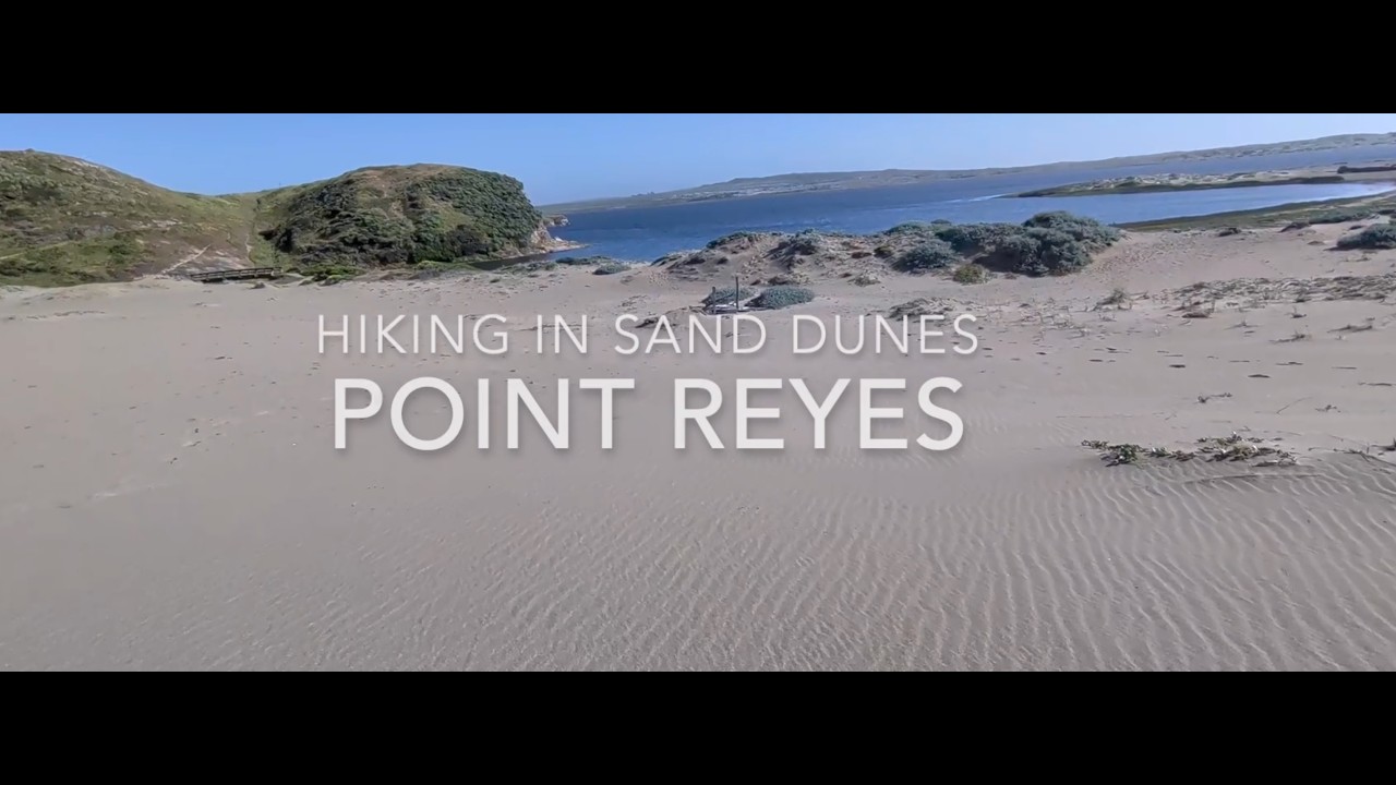 Bay Area Hiking Escapes: Sand Dunes, Beach and Lagoons at the Point Reyes - The most peaceful hike