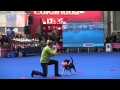 Россия 2012 Григоренко Юля стаффбуль Пегас