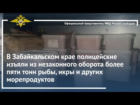 Ирина Волк: Полицейские изъяли из незаконного оборота более 5 тонн рыбы, икры и других морепродуктов