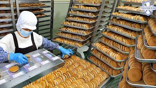 Korean mini pancake mass production process / Korean bread factory