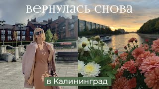 Вернулась в Калининград | Переезд, погода, город