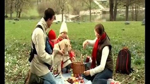 Marsupio Active BabyBjorn - Bimbomarket