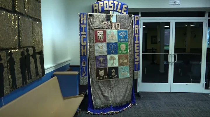 Sue Vitale Banner Video