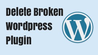 How to Delete a Broken Wordpress Plugin - Backend