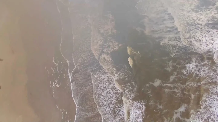 Drone - San Luis Pass, Kelly Hamby Nature Trail, T...