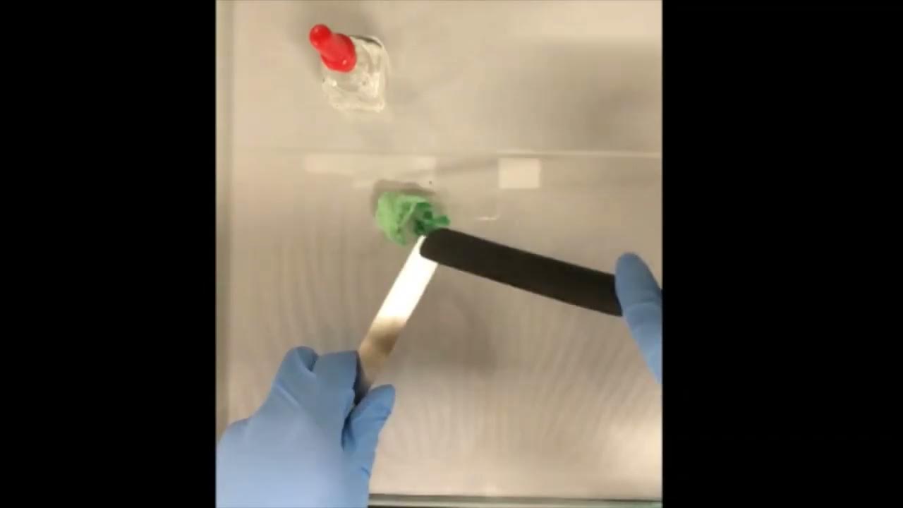 Trituration Spatulation Levigation Geometric dilution YouTube