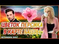 ЦВЕТОК ПЕРСИКА в Карте Ба Цзы \\ Дима Билан