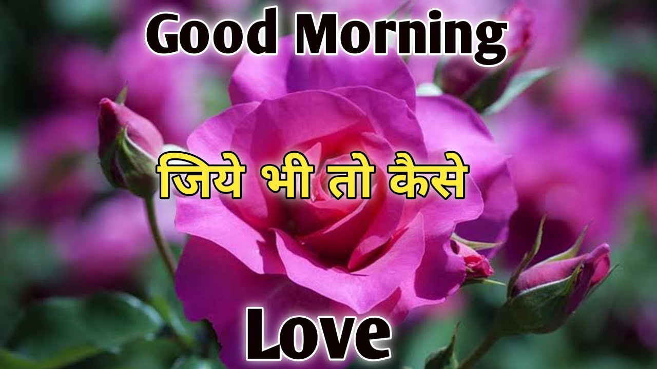 🌹Good Morning Shayari Video 🌹Hindi Shayari Video 🌷jiye bhi to kese