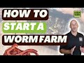 Start a worm farm the right way step by step guide