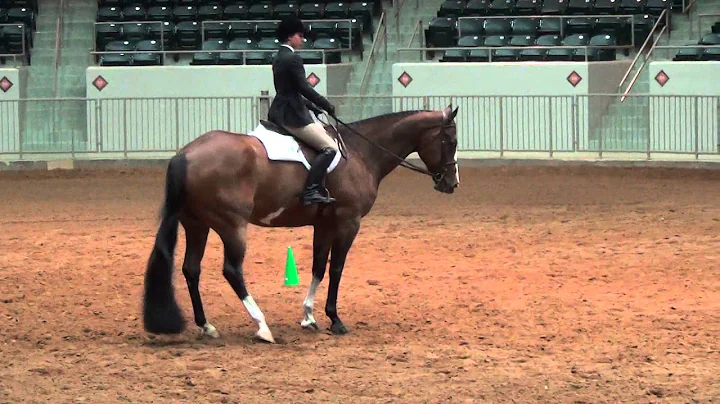Samantha Floyd & Iron Sensation Pinto Worlds 2014 ...