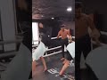            سيلاوي