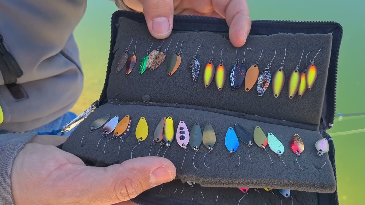 TROUT AREA WORLD 🌏  EP.1 Season 2024