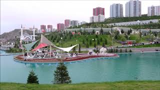Musa Eroglu Bi̇len Gelsi̇n