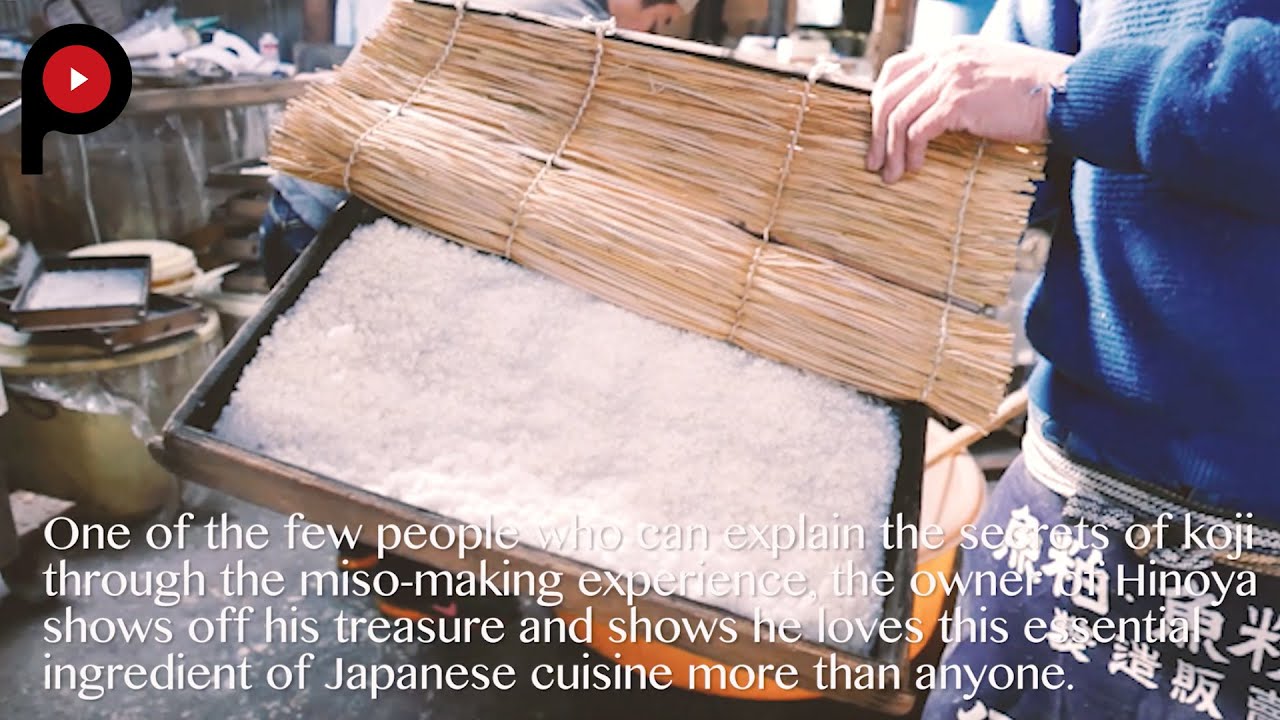 How to make miso videos for cats
