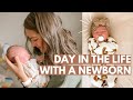 DAY IN THE LIFE WITH A NEWBORN! | 2 Week Old Baby + First Time Mom