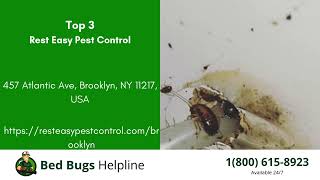Top 3 Bed Bug Removal Companies in Brooklyn Park