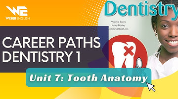 Career Paths Dentistry 1 Unit 7 Tooth Anatomy - Anh Văn Chuyên Ngành Răng Hàm Mặt