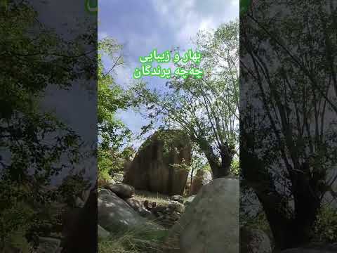 شرشر آب چه چه پرندگان پرتو خورشید وزوز باد و سرانجام ابر و باد و مه و خورشید و فلک در کارند
