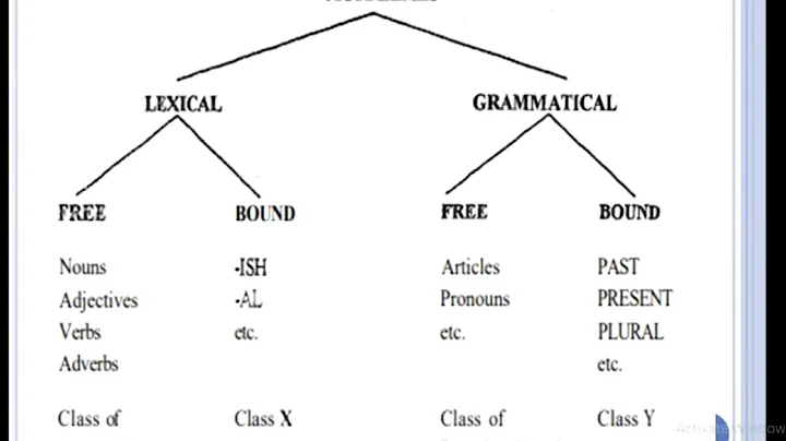 MEG04 : Block-4 Morphology lecture recording Dr Ishwarya Menon Part1/2