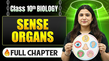 Sense Organs Complete Chapter in One Shot | Class 10 Biology | ICSE Board